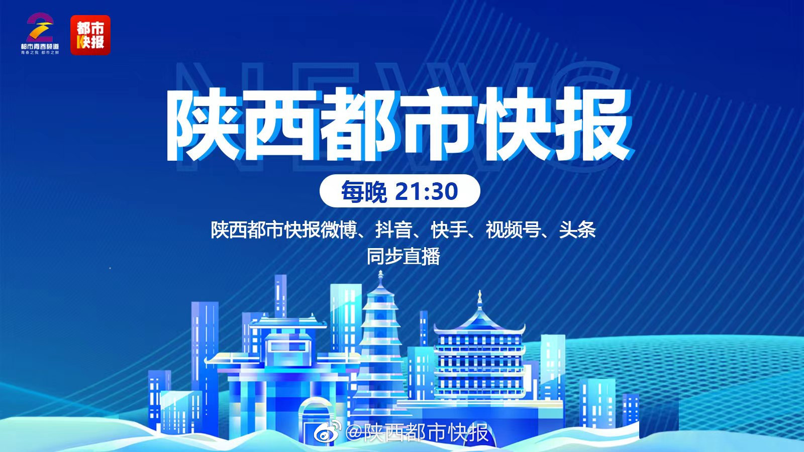 陕西都市快报直播昨日精彩瞬间与深度洞察回顾